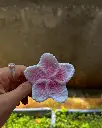 A62741DF-4AA8-43AF-BCC0-8C0F20202310.webp