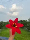 Crochet Flowers ( Red , Blue and White)