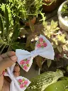 Hair bow clips