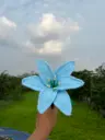 Crochet flowers (Blue and Red)