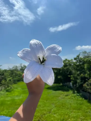 Crochet flowers ( Blue and White)