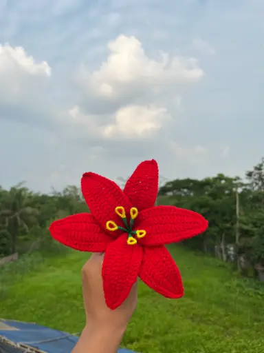 Crochet Flowers ( Red , Blue and White)
