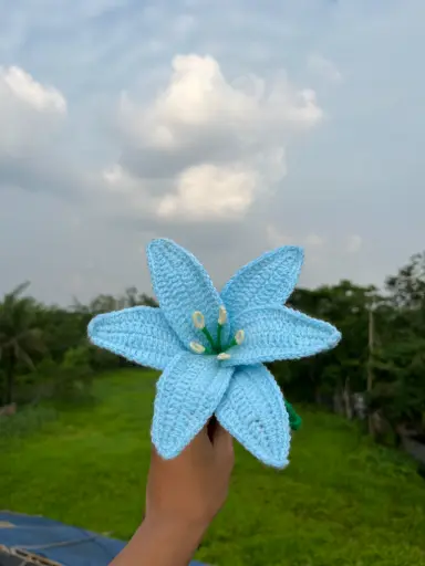Crochet flowers (Blue and Red)